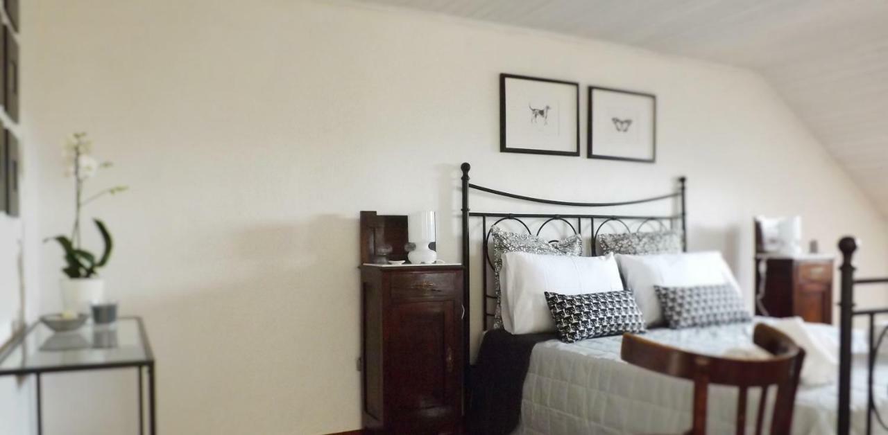 Domus Tua Bed & Breakfast Пиетрелчина Екстериор снимка
